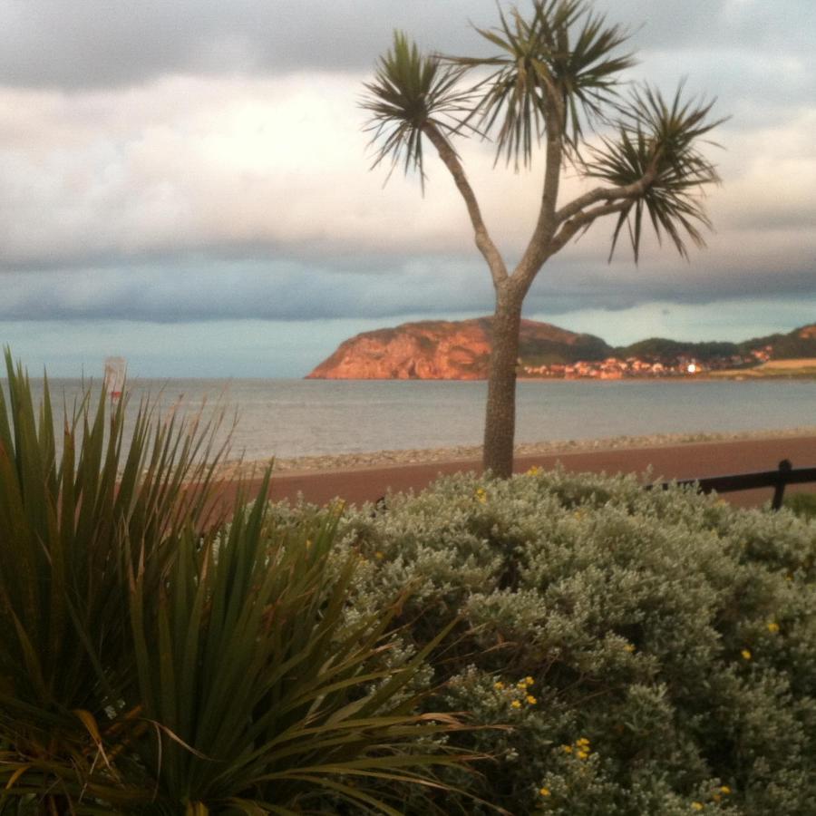 Cedar House, Formerly Shamrock House Llandudno Exteriör bild